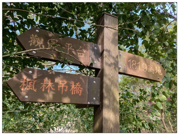 老崎古道、老崎坪頂山 (頭份)2737186