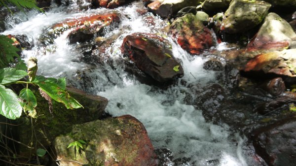 溪畔古道連走四堵古道登山健行趣(淡蘭南路TK3-9)1813837