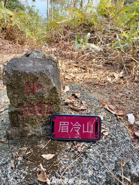 【南投國姓】兩個女生的山野包山行。 眉冷山步道x梅島山x眉冷山2066664