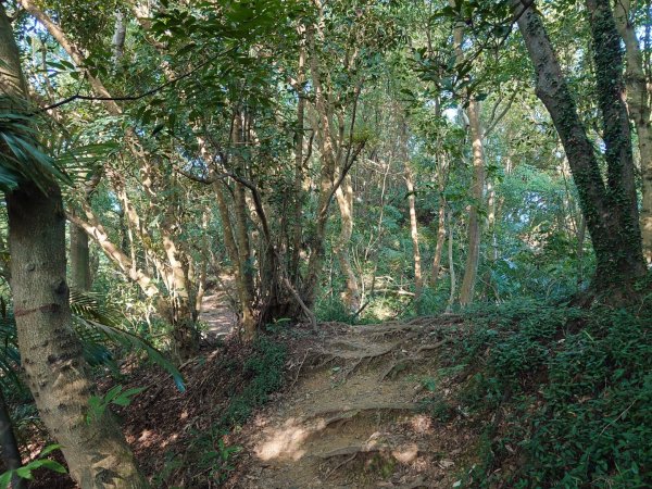 微笑山線之鳶山任務2855515