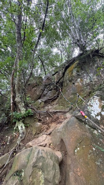 迎新（2026元旦2975565