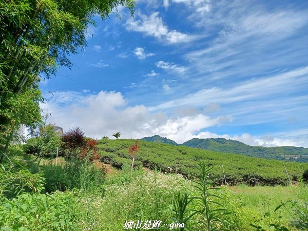 【南投信義】望鄉部落抬頭見玉山。 獵人古道連走、望美山、瓊山2274312