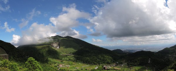 陽金公路一日遊969404