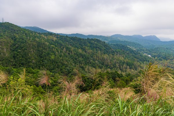 [宜蘭]鵲子山2932533
