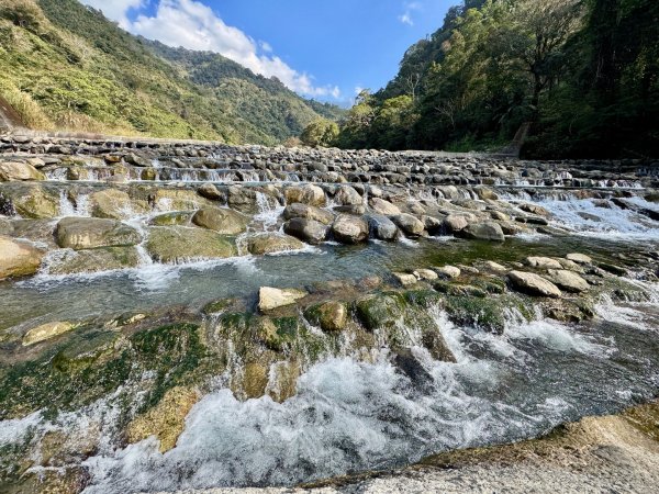 雪山坑登山步道尋巨人2978274