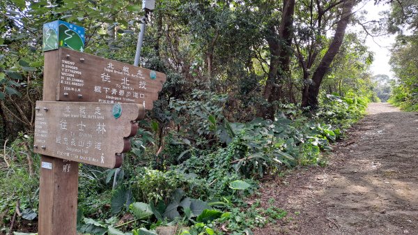 台北大縱走第一段1249119