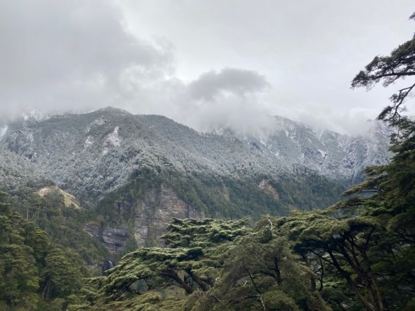 塔塔加-排雲山莊。驚喜滿分的糖霜雪景1565842