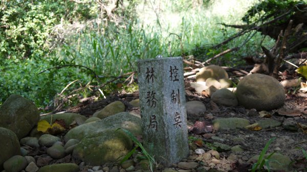 二訪鐵砧山登山建行趣(小百岳38號)1623158