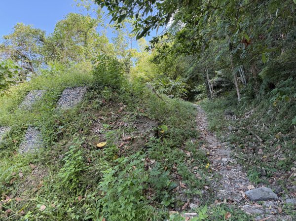 [漫遊縱谷 愛在花東] 2025_1018 米棧古道(第二回)2921151