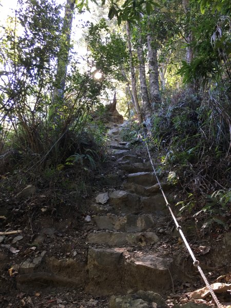 20161119_谷關七雄之四-波津加山873762