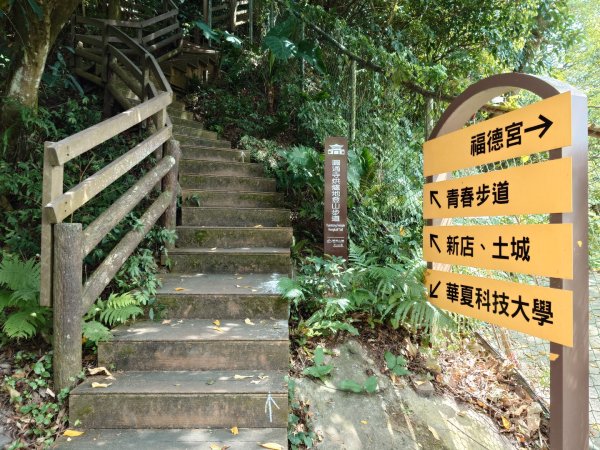 微笑山線之烘爐地任務2836454