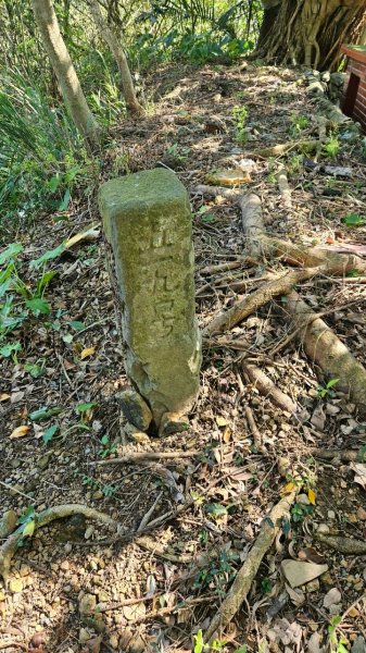 20250322遠望坑古道-龜媽坑古道中線-虎子山古道2743252