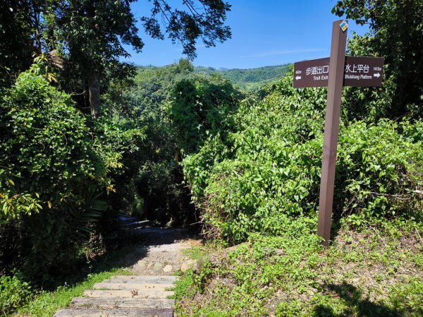 2024-08-22 澀水森林步道2578470