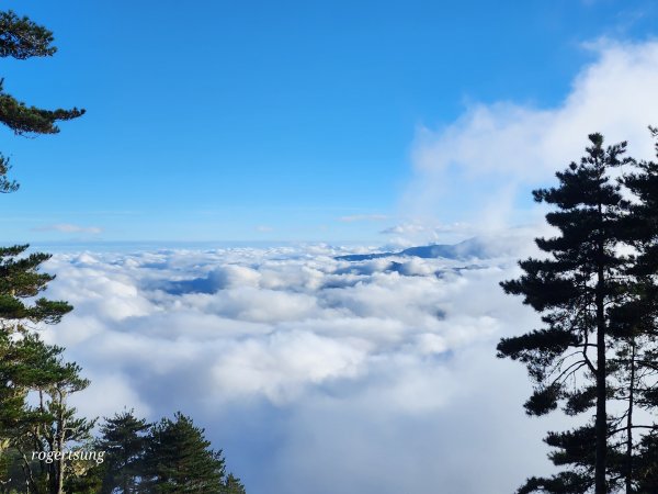 嘉明湖三天兩夜，飽覽無盡美景(嘉明湖、三叉山、向陽山)2366405