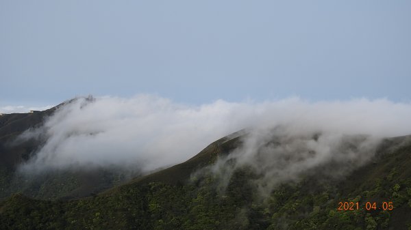 0405陽明山再見雲瀑，今年以來最滿意的一次1335442