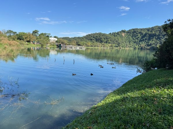 生態環境豐富的仁山植物園 感受鑑湖秋月-梅花湖的魅力2953866