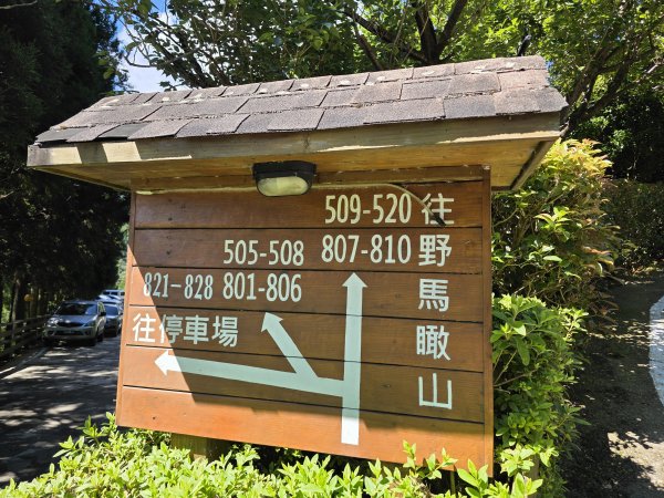 [皮皮獅探險隊-09/10] 2025_0816 野馬瞰山步道2862661