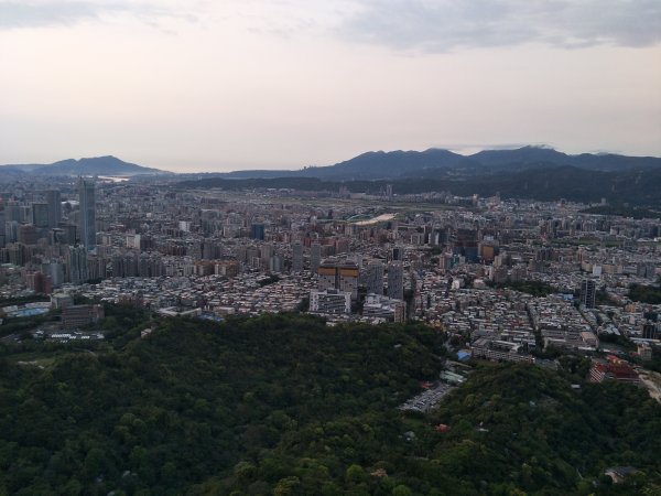 南港山縱走親山步道(拇指山、南港山、象山、九五峰)1820265