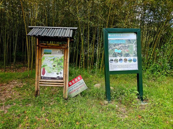 羅山村竹林步道-2025漫遊縱谷愛在花東-花蓮縣富里鄉2916724