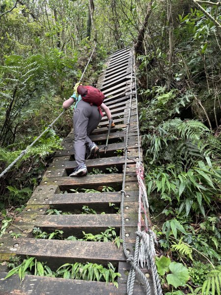 獅仔頭山 2025.07.202864269