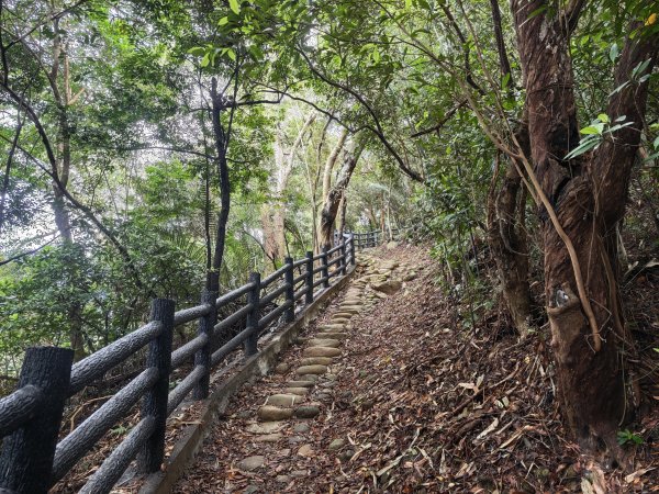 [皮皮獅動物派對-03/10] 2026_0822 石光古道(老虎山步道)3120801