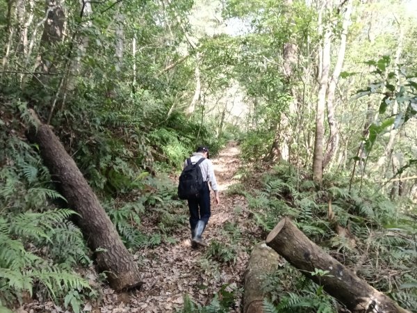 頭城鎮龜山車站+北關山豬線+叢雲山+梗枋古道出龜山車站O型3007602
