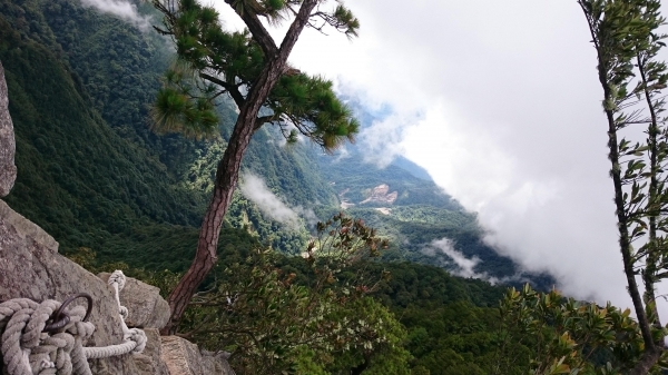 鳶嘴山步道24407