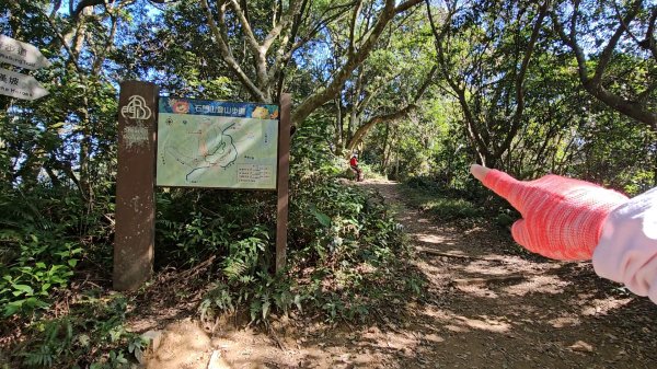 20251216太平山石門山小粗坑山O型+蕃薯藤TINA廚房2972593