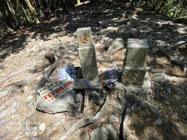 2025-03-22油羅山步道2743425