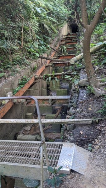 福人登山步道2069894