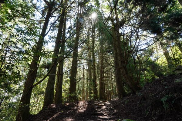 台中 和平 馬崙山2796955