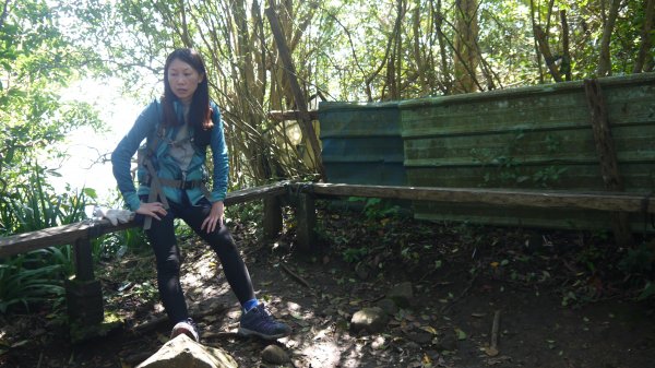 觀音山登山健行趣(小百岳05號)1632428