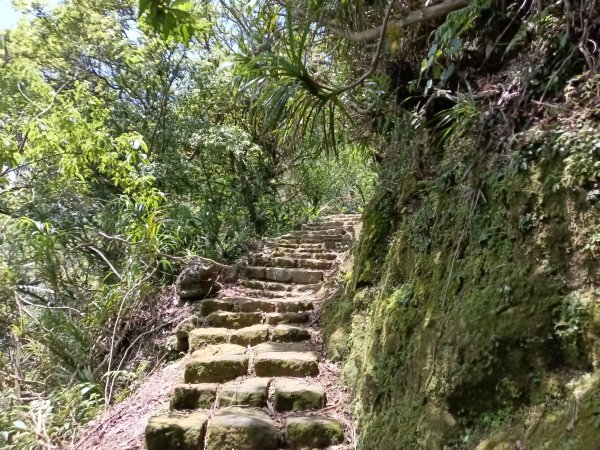 雙溪區不厭亭+牡丹山+樹梅坪+鷹石岩山神廟+不厭亭+奉憲示禁碑+三貂崙+不厭亭8字走2766285