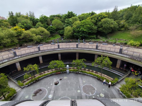 大安森林公園、大稻埕、大港墘公園【走路趣尋寶】【臺北健走趣】2598314