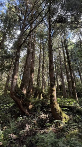 20250913小百岳三星山2885229