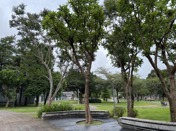 [2026臺北健走趣-03/50] 2026_0710_大湖公園(防災公園)3097796