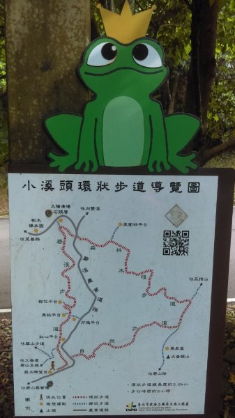 【台灣小百岳寶石任務】#008 大崙頭山911729