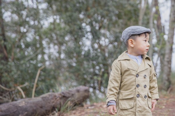 20200310-司馬庫斯神木群步道914327