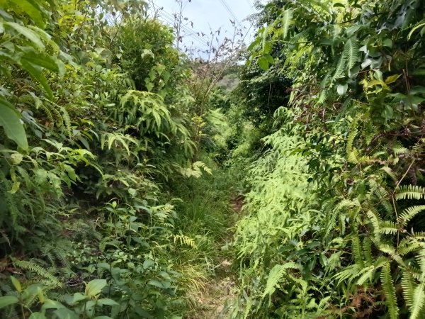 汐止區夢湖保線路+單車夢湖路O型2894123