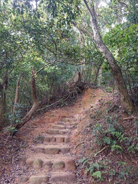 福人登山步道-光復土地公-大北坑2477056