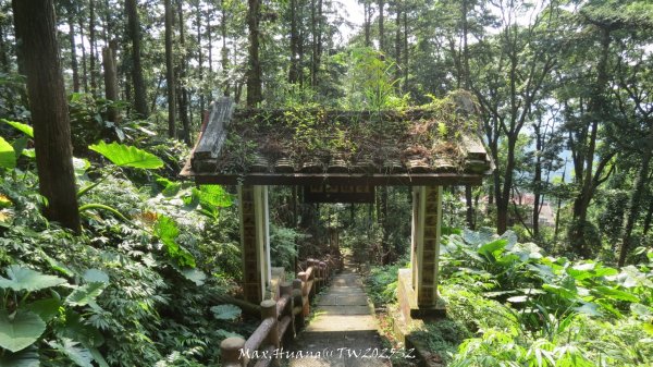 《苗栗》古道柳杉｜雲洞宮鳴鳳古道南長城步道登三湖山202505022777116