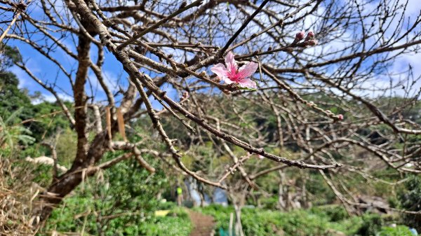 台北大縱走第一段1249156