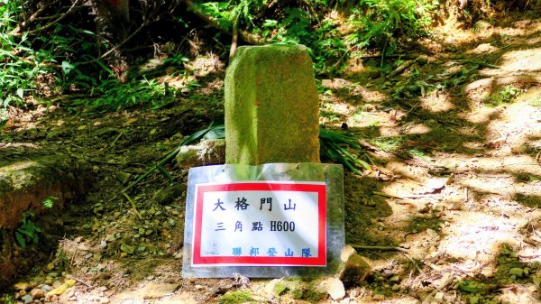 黃櫸皮寮山2898317