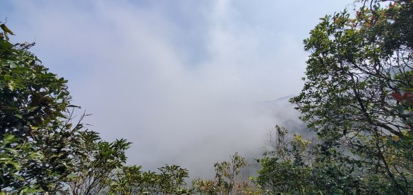 2023-03-18向天湖山步道2076640