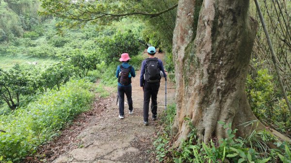 飛沙縱走33連峰2025年4月13日2760316