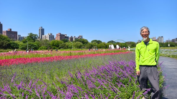 首訪 #古亭河濱公園 #花海 3/153015668