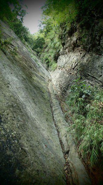 梅嶺_獵鷹尖一線天步道678513