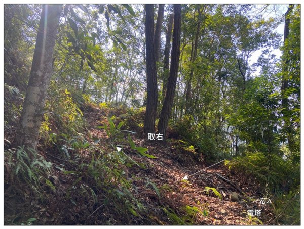 巴幸山、打鐵坑山、稍來坑山、和平14基石連走3018109