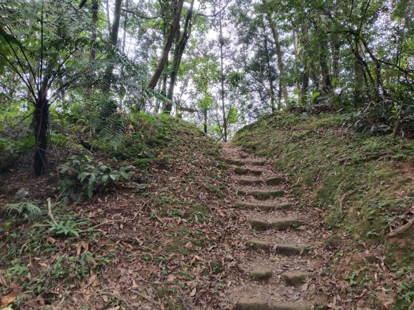 平溪區嶺腳越嶺古道+嶺腳步道+嶺腳石窟大瀑布O型2824087