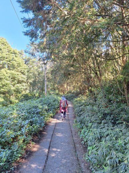 日湯真山202601042978566